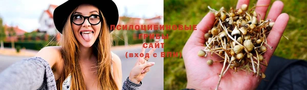 гашик Беломорск