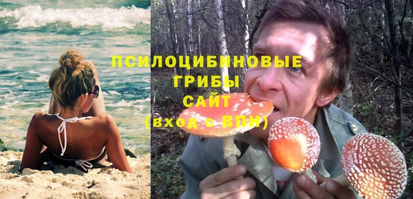 марки nbome Белокуриха