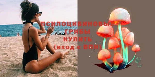 марки nbome Белокуриха