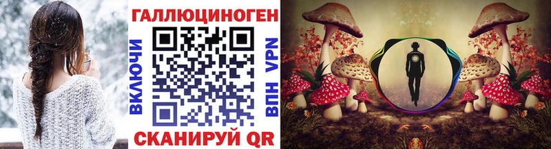 Псилоцибиновые грибы GOLDEN TEACHER  продажа наркотиков  Салаир 